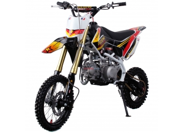 Pitbike MiniRocket Motors CRF110 125ccm 14/12 Pitbike MiniRocket Motors CRF110 125ccm 14/12