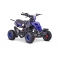 Miniquad Repti, Blue